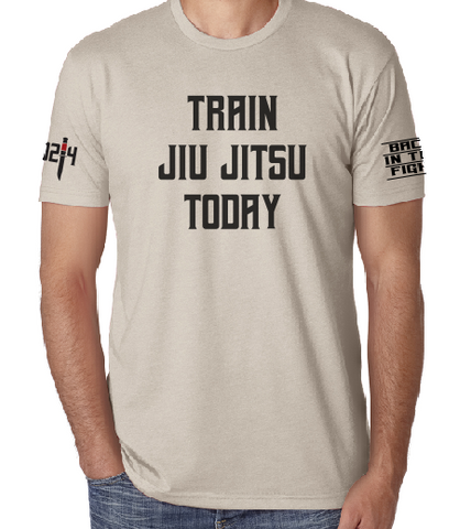 Train Jiu Jitsu Today